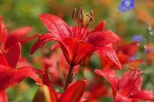 13869 Hardy Lake Rd SW, Pillager, MN 56473 - Photo 59