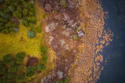 Tbd 141st Avenue, Bagley, MN 56621 - Photo 25