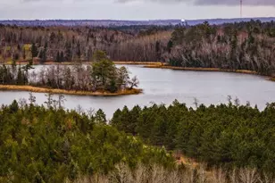 Tbd 141st Ave, Bagley, MN 56621 - Photo 1