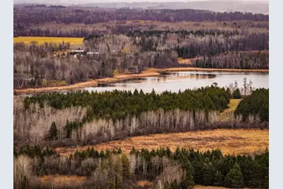 Tbd 141st Avenue, Bagley, MN 56621 - Photo 5