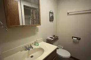 113 E Fairview St, Spring Valley, MN 55975 - Photo 27