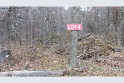 Lot 4 East River Rd, Grantsburg, WI 54840 - Photo 11