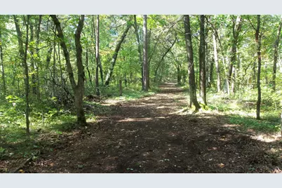 Lot 4 East River Rd, Grantsburg, WI 54840 - Photo 9