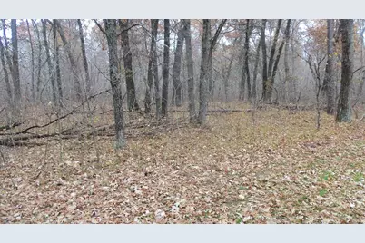 Lot 4 East River Rd, Grantsburg, WI 54840 - Photo 17