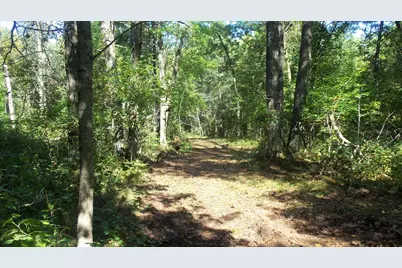 Lot 4 East River Rd, Grantsburg, WI 54840 - Photo 5