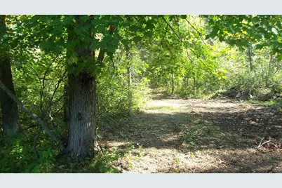 Lot 4 East River Rd, Grantsburg, WI 54840 - Photo 3