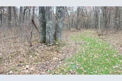 Lot 4 East River Rd, Grantsburg, WI 54840 - Photo 15