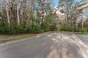 13824 Flay Ave N, Hugo, MN 55038 - Photo 3