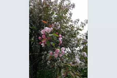 24543 County Highway 124, Fergus Falls, MN 56537 - Photo 77