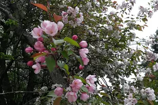 24543 Co Hwy 124, Fergus Falls, MN 56537 - Photo 77