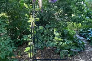 705 Valley View Ct, Shoreview, MN 55126 - Photo 49