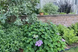 705 Valley View Ct, Shoreview, MN 55126 - Photo 59