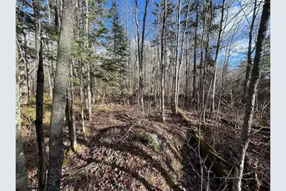 Tbd Wilderness Way, Cook, MN 55723 - Photo 13