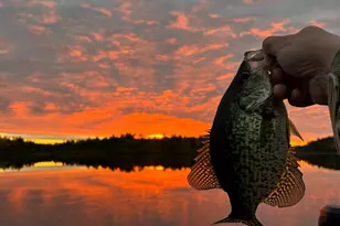 Tbd Wilderness Way, Cook, MN 55723 - Photo 1