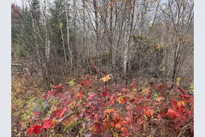 Tbd Wilderness Way, Cook, MN 55723 - Photo 19