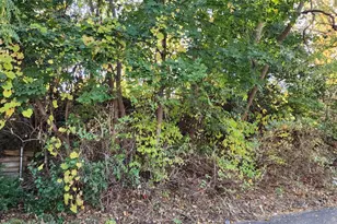 3718 Lyndale Ave N, Minneapolis, MN 55412 - Photo 5