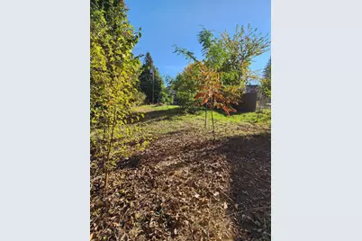 3718 Lyndale Avenue N, Minneapolis, MN 55412 - Photo 3