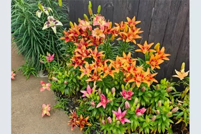 612 W Eau Claire Street, Rice Lake, WI 54868 - Photo 27