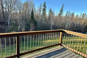 310 Tianna Dr, Walker, MN 56484 - Photo 19