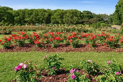 4536 Grand Avenue S, Minneapolis, MN 55419 - Photo 51