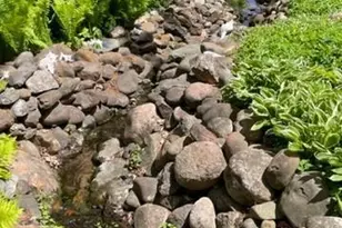 16993 197th St N, Scandia, MN 55047 - Photo 31