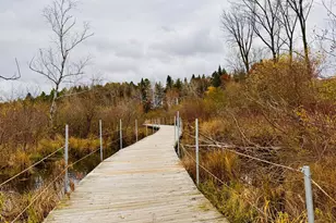 870 Sherwood Rd, Shoreview, MN 55126 - Photo 13