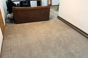 180 Brown Ave S, Annandale, MN 55302 - Photo 29