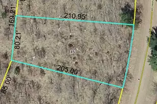 Lot 49 Red Wing Pl, Danbury, WI 54830 - Photo 1