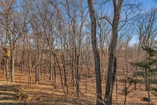 30702 Melanie Way, Saint Joseph, MN 56374 - Photo 61