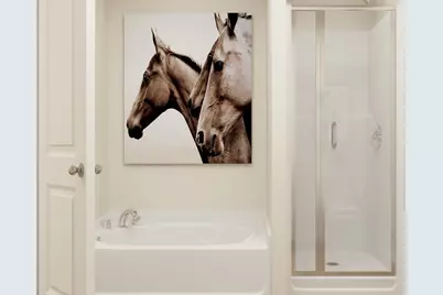 504 Spruce Court N, Cambridge, MN 55008 - Photo 19