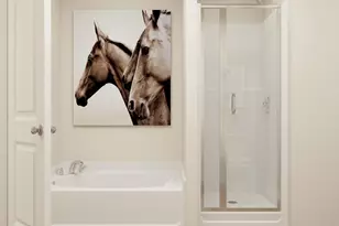 504 Spruce Ct N, Cambridge, MN 55008 - Photo 19