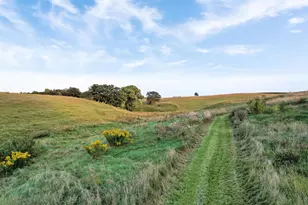 66182 310th Ave, Lake City, MN 55041 - Photo 67