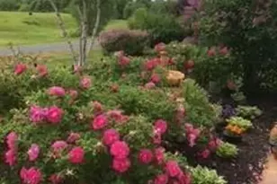 2146 84th Ave, Osceola, WI 54020 - Photo 31