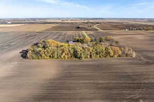 26795 820th Ave, Hollandale, MN 56045 - Photo 61