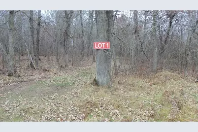 Lot 1 300th St, Saint Croix Falls, WI 54024 - Photo 1