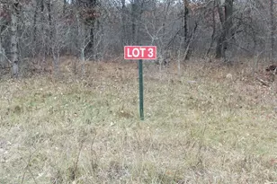 Lot 3 300th St, Saint Croix Falls, WI 54024 - Photo 1