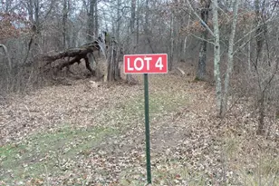 Lot 4 300th St, Saint Croix Falls, WI 54024 - Photo 1