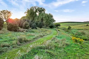 66182 310th Ave, Lake City, MN 55041 - Photo 63