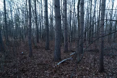 87927 Alder Loop, Sturgeon Lake, MN 55783 - Photo 19