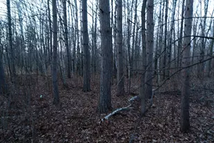 87927 Alder Loop, Sturgeon Lake, MN 55783 - Photo 19