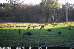 49236 245th Ave, Pelican Rapids, MN 56572 - Photo 69