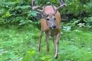 49236 245th Ave, Pelican Rapids, MN 56572 - Photo 75