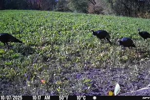 49236 245th Ave, Pelican Rapids, MN 56572 - Photo 71