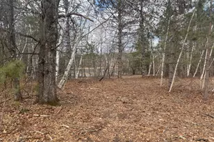 4610 Setting Sun Terrace, Danbury, WI 54830 - Photo 13