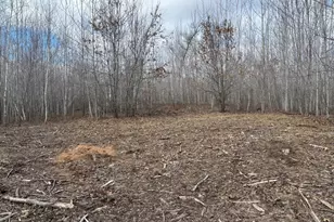 28791 Spotted Fawn Rd, Danbury, WI 54830 - Photo 15