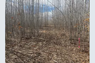 28791 Spotted Fawn Road, Danbury, WI 54830 - Photo 13