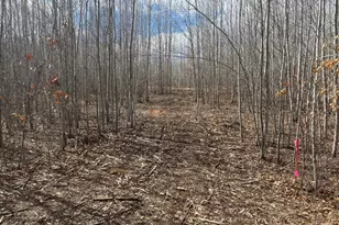 28791 Spotted Fawn Rd, Danbury, WI 54830 - Photo 13