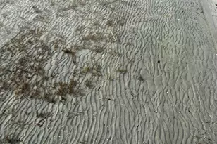 24864 Tri Lakes Dr, Pelican Rapids, MN 56572 - Photo 69