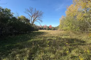 Tbd Norsted Ave S, Afton, MN 55001 - Photo 1