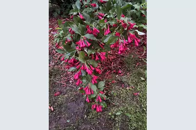 39596 10th Avenue, Isle, MN 56342 - Photo 51